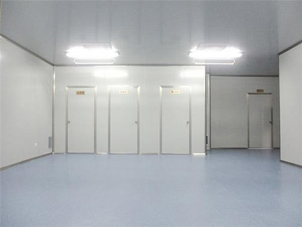電子車(chē)間凈化